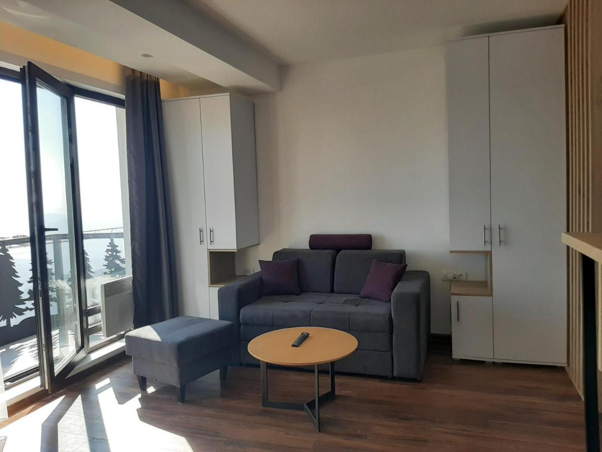 Vihor A21 Apartment Kopaonik Exterior photo